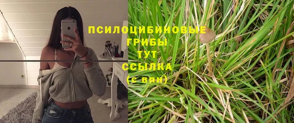 spice Абинск